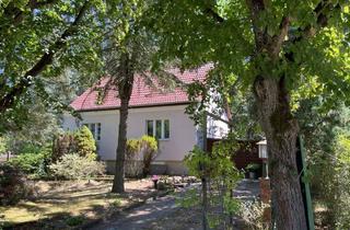 Einfamilienhaus kaufen in 14532 Stahnsdorf, + + ruhig gelegenes, sanierungsbedürftiges Einfamilienhaus mit großem Grundstück / Nebengelass + +