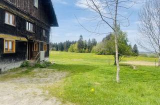 Grundstück zu kaufen in 88167 Stiefenhofen, ehemaliger historischer Bauernhof mit ca. 3 Hektar malerischem Land
