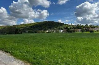 Haus kaufen in Burgstr. 54, 76356 Weingarten (Baden), Liebhaberobjekt zum Entwickeln - EFH mit Hof, Scheune und Baugrundstück