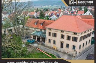 Mehrfamilienhaus kaufen in 67435 Mußbach, Leben im Antiken Weingut! Denkmalgeschütztes Mehrfamilienhaus in Mußbach