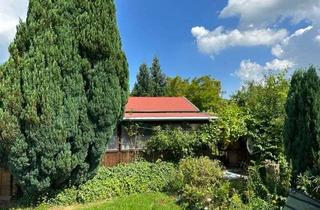 Grundstück zu kaufen in Bautzner Landstrasse 00, 01833 Dürrröhrsdorf-Dittersbach, Wunderschönes Naturidyll! Kleingarten (Eigentumsland) zu verkaufen