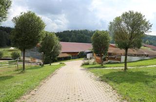 Haus kaufen in 73479 Ellwangen (Jagst), Reiterhof für Pferdezucht im Ostalbkreis