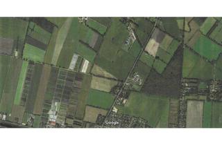 Gewerbeimmobilie kaufen in 26169 Friesoythe, 2,7 ha Ackerland Nähe Edewecht zu verkaufen