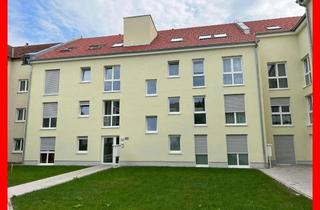 Wohnung mieten in 67071 Ruchheim, Vermietung - Wohnung in einem gepflegten Mehrfamilienhaus