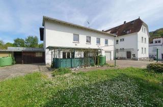 Haus kaufen in 69469 Weinheim, Kombination aus Wohnen, kreativer Werkstatt, Lager & Büro mit viel Grundstück
