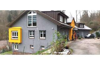 Mehrfamilienhaus kaufen in 76359 Marxzell, MARXZELL: Liebevoll saniertes Mehrfamilienhaus mit 4 Wohneinheiten ca. 450 m² Wohnfläche
