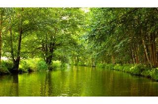 Haus kaufen in 03096 Burg, Dreifamilienhaus im Spreewald