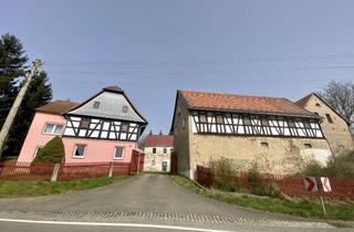 Haus kaufen in 08451 Crimmitschau, Leben im Grünen mit viel Freiraum und großem Potential
