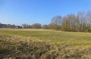 Gewerbeimmobilie kaufen in 15741 Bestensee, *Zinsfreie Ratenzahlung sichern!* Waldgrundstücke Pätzer Hintersee - Flur 8, Flurstücke 33, 367, 368