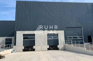Büro zu mieten in 48361 Beelen, Attraktive Lagerhalle in Beelen | Rampen | Büroflächen vorhanden | RUHR REAL