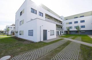 Wohnung mieten in Eversheide, 49090 Osnabrück, Moderne Wohlfühloase: Erstbezug mit Großem Balkon