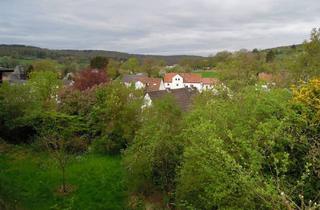 Haus kaufen in Hainstraße, 35457 Lollar, Haus mit Naturgarten in Salzböden