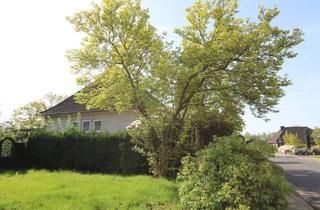 Einfamilienhaus kaufen in 49424 Goldenstedt, Goldenstedt - Wundervolles Grundstück in Goldenstedt mit Haus zum Verwirklichen!