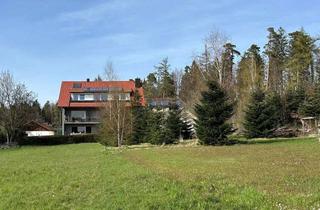 Mehrfamilienhaus kaufen in 72280 Dornstetten, Gepflegtes Mehrfamilienhaus mit 3 Wohneinheiten