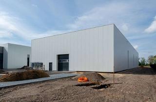 Büro zu mieten in 41836 Hückelhoven, Neubau! Produktions- und Lagerhalle im Gewerbepark Hückelhoven-Ratheim mit Büroflächen