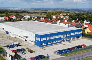 Gewerbeimmobilie kaufen in Mittelweg, 99428 Isseroda, Produktionshalle ca. 3100 m² plus Bürotrakt ca. 800 m², in bester Lage und perfektem Zustand.