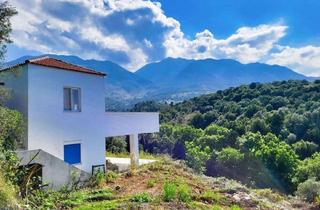 Anlageobjekt in 26789 Leer, Hübsches Zweifamilienhaus in Kastellos / Apokoronas auf Kreta - Griechenland