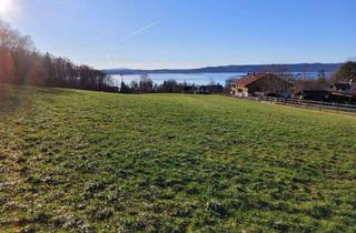 Grundstück zu kaufen in 82541 Münsing, Baugrundstück in Ammerland nur 5 Gehminuten zum Sta See