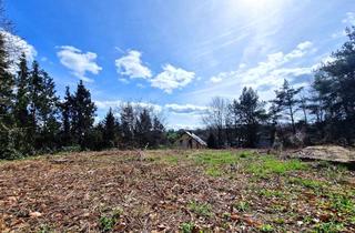 Grundstück zu kaufen in 01705 Freital, Baugrundstück im Grünen mit Weitsicht
