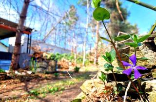 Grundstück zu kaufen in 01705 Freital, Baugrundstück mit viel Platz im Grünen