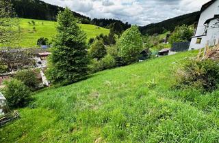 Grundstück zu kaufen in Sommerbergstraße, 72175 Dornhan, Sommerberg-Baugrundstück in Leinstetten