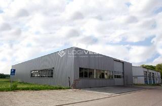 Gewerbeimmobilie mieten in 84513 Töging, Modernisierte Lagerhalle unmittelbar an der A94