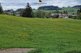 Grundstück zu kaufen in 88179 Oberreute, Sofort verfügbares Bauerwartungsland mit Grünland in Oberreute