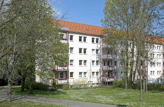 Wohnung mieten in Eckersbacher Höhe 76, 08066 Eckersbach, +++ Genießen und Wohlfühlen im Grünen +++