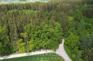 Grundstück zu kaufen in 85402 Kranzberg, Investieren Sie in Wald & Forst: 1,06 ha Fichtenwald in Kranzberg LK FS - ohne Käuferprovision