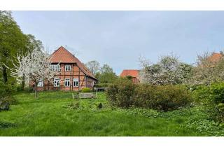 Haus kaufen in 19273 Amt Neuhaus, Seltene Gelegenheit in den Elbtalauen: Historische Dorfschule mit verwunschenem Grundstück