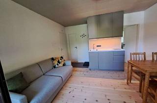 Wohnung kaufen in 83229 Aschau, Modernes 1 1/2 Zimmer-Appartement im Bergsteigerdorf Sachrang