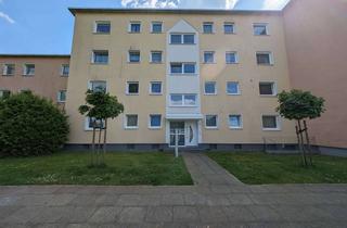 Wohnung mieten in Lortzingstraße, 49504 Lotte, Großzügige, frisch renovierte 4-Zimmer Wohnung zu vermieten!