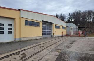 Gewerbeimmobilie mieten in Industriestraße 11, 02692 Doberschau, Großzügige Halle zu vermieten – Ideal für Gewerbe und Lagerung – Nähe Bautzen