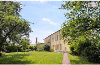 Loft kaufen in 09306 Erlau, Ein Zuhause mit Charakter – Loftartige 3-Raum-Wohnung mit 107m² Wfl., Gartenanteil, Garage & Carport