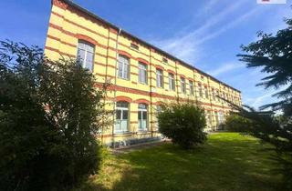 Loft kaufen in 09306 Erlau, Ein Zuhause mit Charakter – Loftartige 3-Raum-Wohnung mit 107m² Wfl., Gartenanteil, Garage & Carport