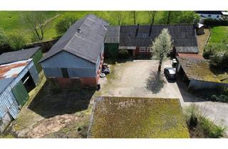 Haus kaufen in 24980 Meyn, Hofstelle mit 8,9 ha inkl. zwei Baugrundstücken