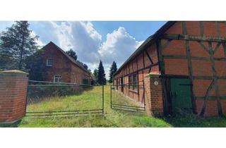 Haus kaufen in 29491 Prezelle, Der Traum vom kleinen Resthof nahe der Nemitzer Heide