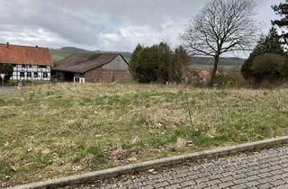 Grundstück zu kaufen in 37574 Einbeck, Baugrundstück in Einbeck-Wenzen