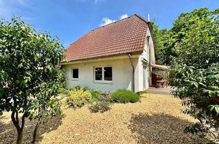 Einfamilienhaus kaufen in 31535 Neustadt, Neustadt am Rübenberge - Schmuckstück zum Aufpolieren: Hübsches Einfamilienhaus in zentraler Lage der Kernstadt
