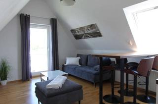 Wohnung mieten in 74248 Ellhofen, Schickes möbliertes 2 Zimmer Studio Apartment, klein aber fein !!