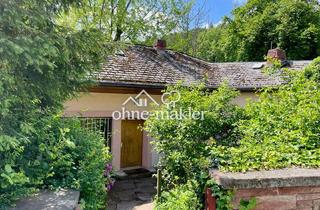 Villa kaufen in 67468 Frankeneck, Architektenhaus nahe Neustadt auf herrlichem 2.800 qm Grundstück im Naturpark Pfälzerwald