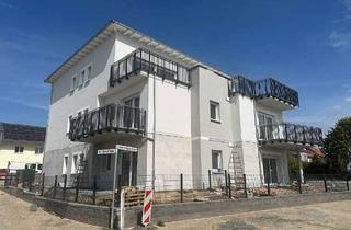 Wohnung mieten in 61169 Friedberg, 2-Zimmer-Wohnung - Ihr neues energieeffizientes Zuhause mit Süd-West-Balkon (WE3)