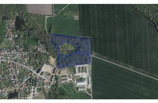 Gewerbeimmobilie kaufen in Hohsdorfer Weg, 06369 Großbadegast, *Jetzt zinsfreie Ratenzahlung sichern!* Waldgrundstücke in Köthen OT Merzien