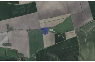 Gewerbeimmobilie kaufen in Hohsdorfer Weg, 06369 Großbadegast, *Jetzt zinsfreie Ratenzahlung sichern!* Große Waldfläche in Köthen (Anhalt) OT Merzien