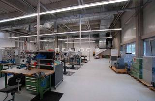 Gewerbeimmobilie kaufen in 75417 Mühlacker, Vermietete Lager-/Produktionshalle mit Bürotrakt zu verkaufen!