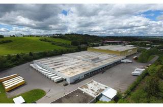 Gewerbeimmobilie mieten in 78647 Trossingen, Lager-/ Logistikfläche mit LKW-Rampen zu vermieten!