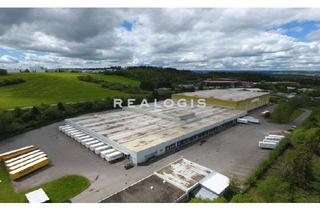 Gewerbeimmobilie mieten in 78647 Trossingen, Lager-/ Logistikfläche mit LKW-Rampen zu vermieten!