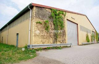 Gewerbeimmobilie mieten in 32791 Lage, Lagerhalle in Detmold