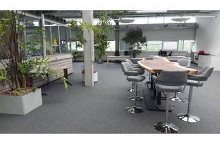 Büro zu mieten in 61267 Neu-Anspach, Büro- oder Praxisflächen für außergewöhnliche Ansprüche im Gewerbegebiet von Neu-Anspach