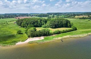 Grundstück zu kaufen in 24897 Ulsnis, Natur & Schlei-Fans aufgepasst: Wiesengrundstück am Wald und Sandstrand in direkter Schlei-Lage!